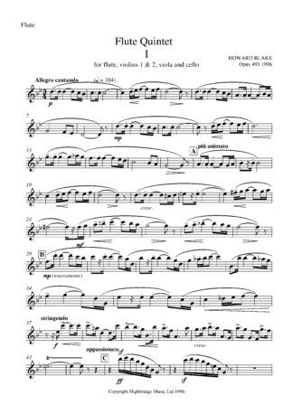 Flute Quintet, op.493 - flute part