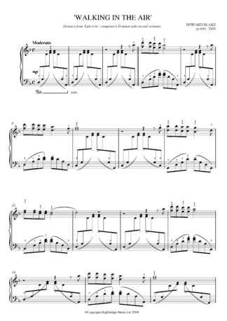Walking in the Air (Concert piano version in D Minor), op.609
